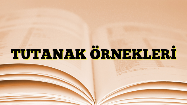 TUTANAK ÖRNEKLERİ