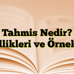 Tahmis Nedir? Özellikleri ve Örnekleri