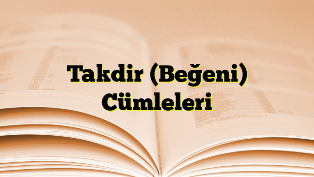 Takdir (Beğeni) Cümleleri