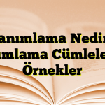 Tanımlama Nedir? Tanımlama Cümlelerine Örnekler