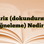 Tariz (dokundurma, iğneleme) Nedir_