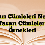 Tasarı Cümleleri Nedir? Tasarı Cümleleri Örnekleri