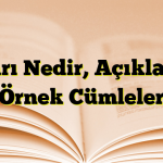 Tasarı Nedir,  Açıklamalı Örnek Cümleler