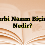 Terbi Nazım Biçimi Nedir?