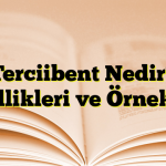 Terciibent Nedir? Özellikleri ve Örnekleri