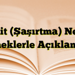 Terdit (Şaşırtma) Nedir? Örneklerle Açıklamalı