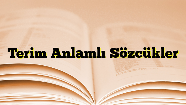 Terim Anlamlı Sözcükler