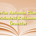 Terim Anlamın Cümle İçerisindeki Kullanımına Örnekler