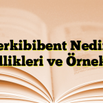 Terkibibent Nedir? Özellikleri ve Örnekleri