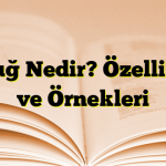 Tuyuğ Nedir? Özellikleri ve Örnekleri