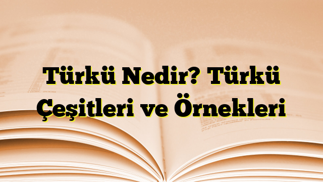 Türkü Nedir? Türkü Çeşitleri ve Örnekleri