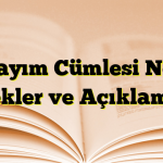 Varsayım Cümlesi Nedir? Örnekler ve Açıklamalar