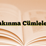 Yakınma Cümleleri