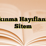 Yakınma Hayıflanma Sitem