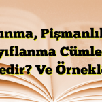 Yakınma, Pişmanlık ve Hayıflanma Cümleleri Nedir? Ve Örnekler