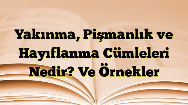 Yakınma, Pişmanlık ve Hayıflanma Cümleleri Nedir? Ve Örnekler