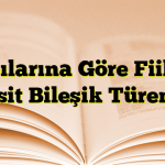 Yapılarına Göre Fiiller, (Basit Bileşik Türemiş)