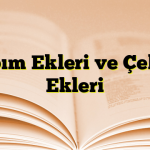 Yapım Ekleri ve Çekim Ekleri