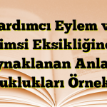 Yardımcı Eylem ve Fiilimsi Eksikliğinden Kaynaklanan Anlatım Bozuklukları Örnekleri