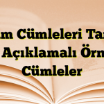 Yorum Cümleleri Tanımı ve Açıklamalı Örnek Cümleler