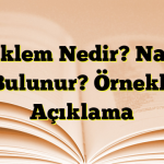 Yüklem Nedir? Nasıl Bulunur? Örnekli Açıklama