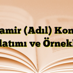 Zamir (Adıl) Konu Anlatımı ve Örnekleri