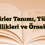 Zamirler Tanımı, Türleri, Özellikleri ve Örnekleri