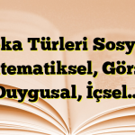 Zeka Türleri Sosyal, Matematiksel, Görsel, Duygusal, İçsel…