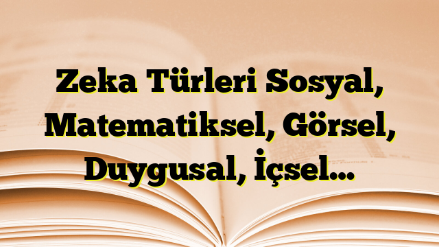 Zeka Türleri Sosyal, Matematiksel, Görsel, Duygusal, İçsel…