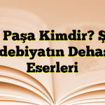 Ziya Paşa Kimdir? Şiirin ve Edebiyatın Dehası ve Eserleri