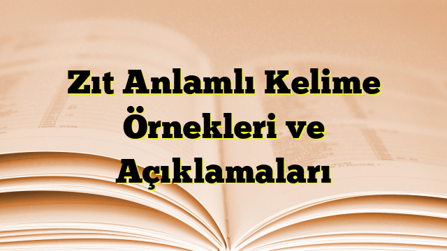 Zıt Anlamlı Kelime Örnekleri ve Açıklamaları