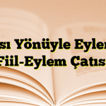 Çatısı Yönüyle Eylemler (Fiil-Eylem Çatısı)