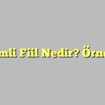 Çekimli Fiil Nedir? Örnekler