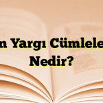 Ön Yargı Cümleleri Nedir?