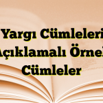 Ön Yargı Cümleleri ve Açıklamalı Örnek Cümleler