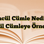 Öncül Cümle Nedir? Öncül Cümleye Örnekler