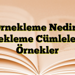 Örnekleme Nedir? Örnekleme Cümlelerine Örnekler