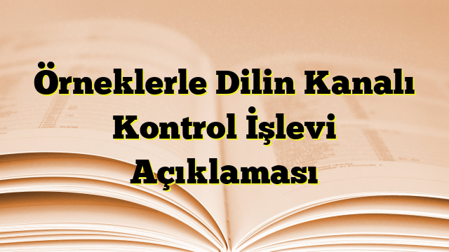 Örneklerle Dilin Kanalı Kontrol İşlevi Açıklaması