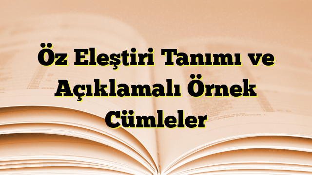 Öz Eleştiri Tanımı ve Açıklamalı Örnek Cümleler