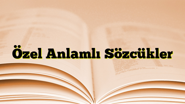 Özel Anlamlı Sözcükler