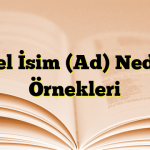 Özel İsim (Ad) Nedir? Örnekleri