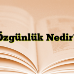 Özgünlük Nedir?