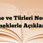 Özne ve Türleri Nedir? Örneklerle Açıklama