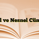 Öznel ve Nesnel Cümleler