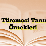 Ünlü Türemesi Tanımı ve Örnekleri