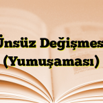 Ünsüz Değişmesi (Yumuşaması)