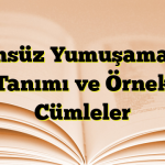 Ünsüz Yumuşaması Tanımı ve Örnek Cümleler