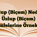 Üslup (Biçem) Nedir? Üslup (Biçem) Cümlelerine Örnekler