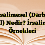 İrsalimesel (Darb-ı mesel) Nedir? İrsalimesel Örnekleri