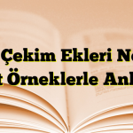 İsim Çekim Ekleri Nedir? Basit Örneklerle Anlatım